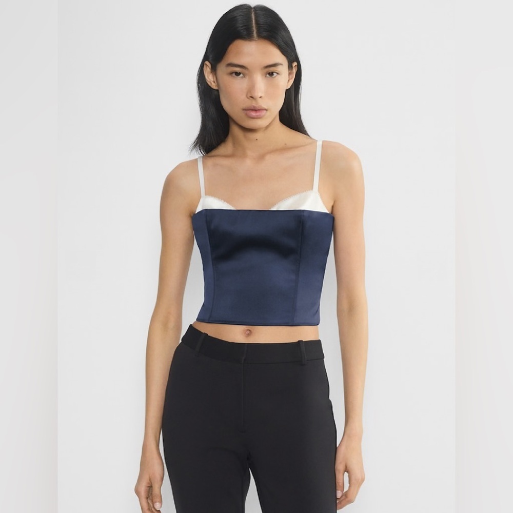 Aritzia Ten Hypnotize Satin Bustier